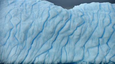 Antarctic glacier ice shelf shrank by one-fifth since 2017 - fox29.com - Washington - Antarctica