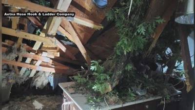 Woman rescued after tree crashes into home in Newark, Delaware during storms - fox29.com - state Delaware - city Newark, state Delaware