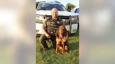 K9 bloodhound finds endangered 6-year-old missing a month - fox29.com - state Tennessee - county Rutherford - county Dekalb