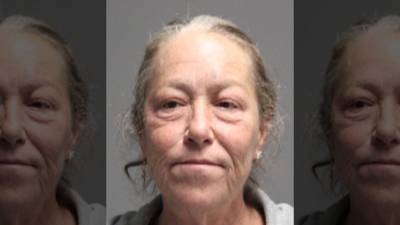 Authorities: Delaware woman arrested for impersonating a police officer - fox29.com - state Delaware