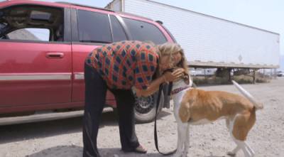 Catherine Urquhart - Heartwarming reunion of Lytton resident and dog that was left behind - globalnews.ca