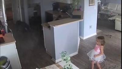 Florida 4-year-old saves family's house from fire after spotting burning appliance - fox29.com - state Florida - city Jacksonville, state Florida
