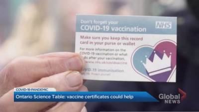Brittany Rosen - COVID-19 vaccine certificates could speed up reopening: Ontario science table - globalnews.ca