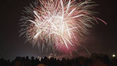 Ruff night: Fourth of July fireworks can cause stress, anxiety in dogs - fox29.com - Usa