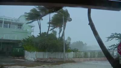 Hurricane Elsa gaining strength as it nears Florida landfall - fox29.com - state Florida - county Bay - city Tampa, county Bay - county Lauderdale - city Fort Lauderdale, state Florida