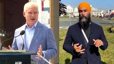 Jagmeet Singh - Erin Otoole - O’Toole, Singh comment on possibility of upcoming federal election - globalnews.ca