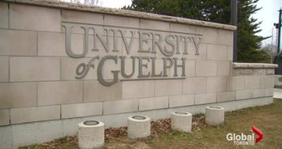 COVID-19: University of Guelph mandates vaccines for everyone on campus - globalnews.ca - city Waterloo - county Kent - county Chatham