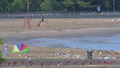Lightning strike at beach leaves boy critically injured, others also hospitalized - fox29.com - New York - county Bronx