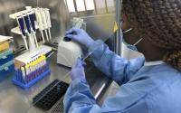 WHO: $7.7 billion needed for COVID variant detection, oxygen - cidrap.umn.edu - Iran - Japan - Australia