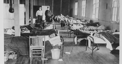 COVID-19 has killed as many Americans as the Spanish flu - globalnews.ca - Usa - Spain - state Michigan