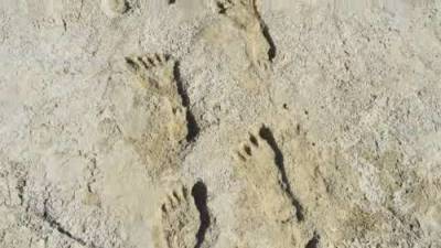 Eric Sorensen - 23,000-year-old human footprints found in New Mexico - globalnews.ca - Usa - state New Mexico