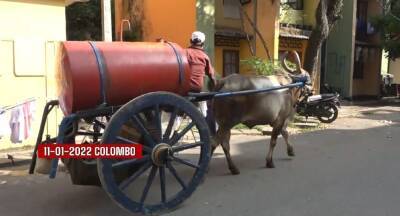 GAS Shortage : Kerosene carts make a glorious comeback to Colombo - newsfirst.lk - Sri Lanka
