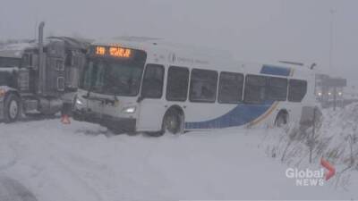 Winter storm batters Niagara - globalnews.ca - county Niagara - region Halton