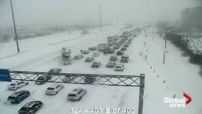 Drivers stuck along major Toronto-area highways as historic winter storm blasts southern Ontario - globalnews.ca