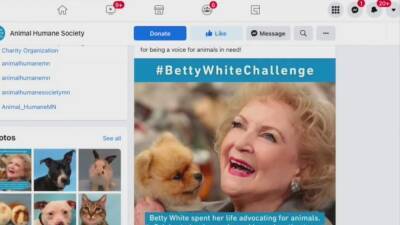 Betty White - Betty White Challenge: Bucks County animal shelter overwhelmed by public generosity - fox29.com - Philadelphia - county Bucks - state Indiana