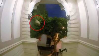 Tom Brady - Watch: FedEx driver hurls package onto porch without leaving truck - fox29.com - San Francisco - city San Francisco