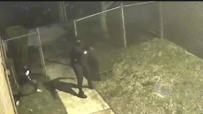 Video: Gunmen open fire in North Philadelphia, critically injuring 31-year-old man - fox29.com