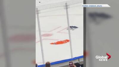 Nicole Stillger - Fan tosses jersey as Edmonton Oilers losing skid hits 7 games - globalnews.ca