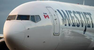 B.C. Court rejects WestJet’s appeal of class-action certification about baggage fees - globalnews.ca