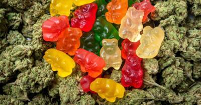 Weed-infused gummies and pills could be rolled out to combat Covid, says expert - dailystar.co.uk - state Oregon
