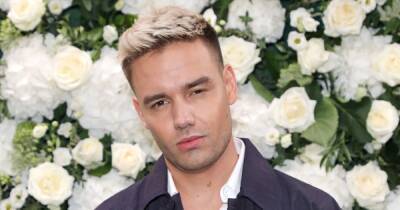 Liam Payne - One Direction star Liam Payne delays upcoming live show as he reveals Covid-19 diagnosis - dailystar.co.uk