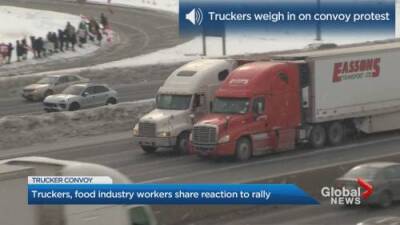 Erica Vella - Drivers react to trucker convoy - globalnews.ca