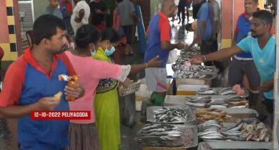 Sri Lankans - Low catch & a low demand: Sri Lanka fishermen in dire straits - newsfirst.lk - Sri Lanka