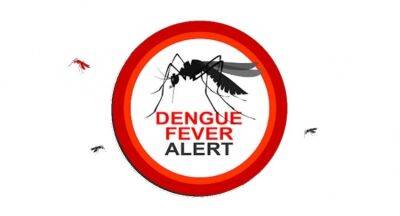 Over 49,000 dengue cases so far in 2022 - newsfirst.lk - Sri Lanka