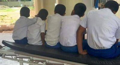 Wasp Attack: Over 40 kids hospitalized in Vavuniya - newsfirst.lk - Sri Lanka