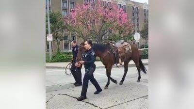 Horseback rider arrested for DUI in Whittier - fox29.com - state California