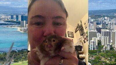 Harry Potter - UK woman flies 7,000 miles to Hawaii to scatter pet hamster’s ashes - fox29.com - Britain - state Hawaii - county Murray - Honolulu, state Hawaii - city Birmingham, Britain