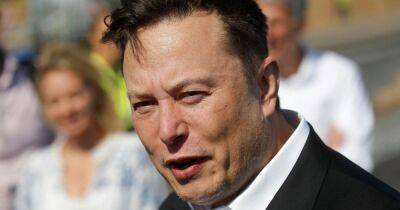 Elon Musk - Elon Musk claims strange new Covid strains are 'giving him kid naming ideas' - dailystar.co.uk