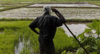Priyadarshana De-Silva - NO money to compensate farmers, State Minister admits in P’ment - newsfirst.lk - Sri Lanka