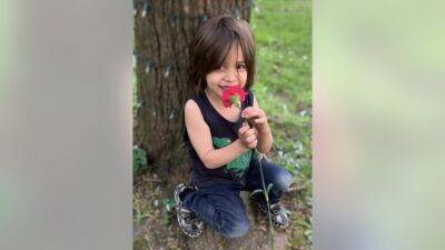 Mateo Zastro: Little Chicago boy shot in head and killed during road rage incident - fox29.com - city Chicago