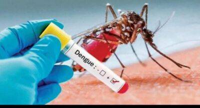 Sudath Samaraweera - Dengue cases spike in Sri Lanka; Over 60,000 reported so far - newsfirst.lk - Sri Lanka