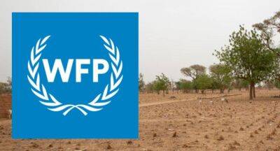Food Crisis: Estate Sector worst affected, says WFP - newsfirst.lk