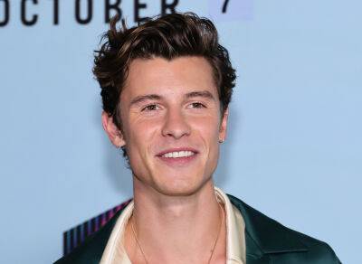 Shawn Mendes - Rachel Smith - Shawn Mendes On How He’s Feeling After Canceling His World Tour To Focus On His Health - etcanada.com