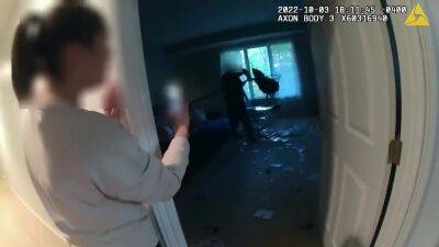 Wild turkey causes chaos after breaking into Ohio home - fox29.com - state Ohio - city Detroit