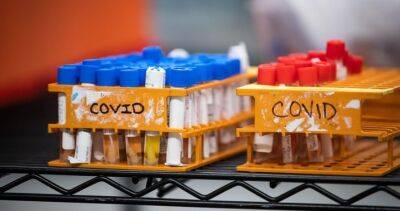Health Ontario - Public Health Ontario says COVID cases have gradually risen - globalnews.ca - Canada
