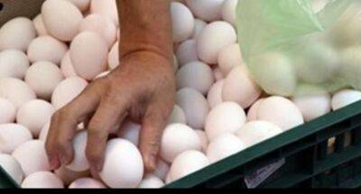 Ajith Gunasekara - 50% of poultry farmer quit industry; Egg shortage likely during holiday season - newsfirst.lk