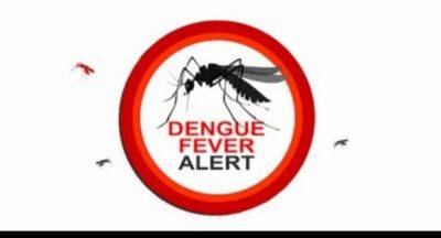 Dengue On The Rise : How do we prevent it? - newsfirst.lk