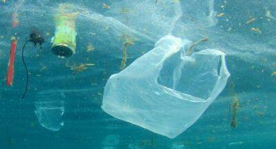 USAID launches 5-Year Ocean Plastics Reduction Project for Sri Lanka - newsfirst.lk - Usa - Sri Lanka - Maldives