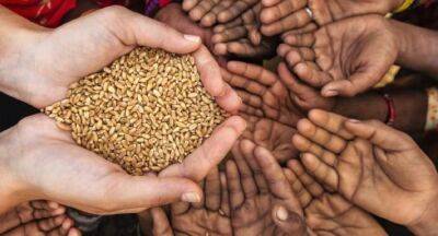 Three in ten households consuming insufficient food – UN - newsfirst.lk - Sri Lanka