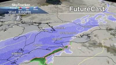 More snow expected for southern Ontario to start February - globalnews.ca
