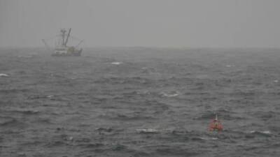 Kylie Stanton - B.C. marine company records massive rogue wave off coast - globalnews.ca