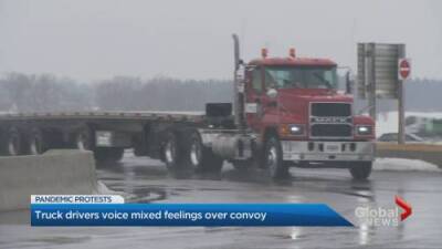 Truck drivers voice mixed reaction to convoy efforts - globalnews.ca