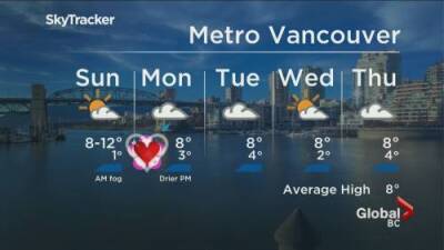 B.C. evening weather forecast: Feb. 12 - globalnews.ca - Britain - city Columbia, Britain - city Vancouver