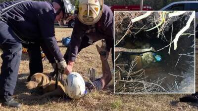 Betty White - Florida firefighters rescue dog stuck in 15-foot hole - fox29.com - state Florida - county Hillsborough
