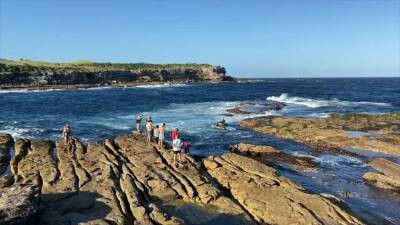 Sydney shark attack: Swimmer dies after suffering 'catastrophic injuries' from great white - fox29.com - Australia