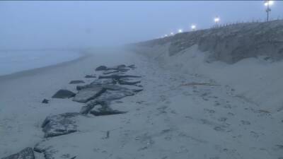 Ocean City - New Jersey beaches struggling with erosion ahead of the summer season - fox29.com - state New Jersey - Jersey - county Ocean